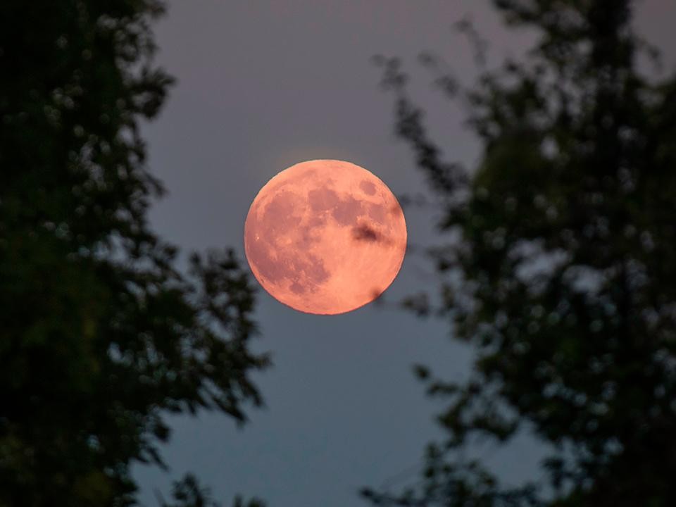 Клубничную луну сфотографировали в Зарайске
