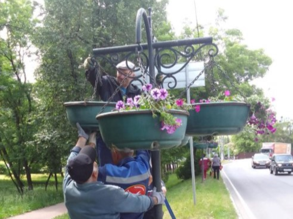 Более тысячи цветов высадили в Чехове за неделю