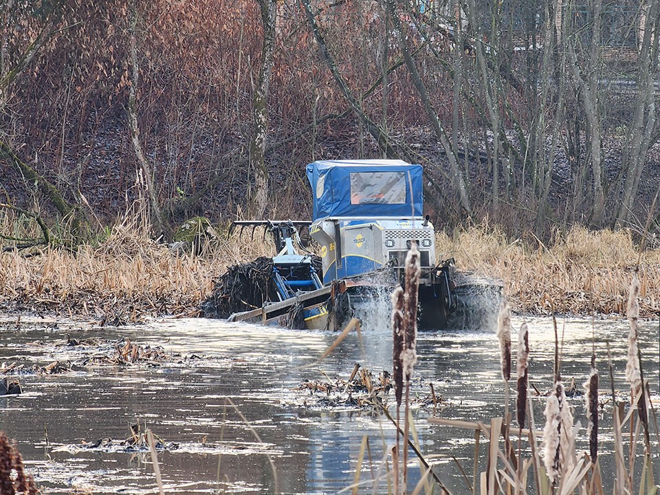 Когда очистят главный пруд городского парка в Ивантеевке