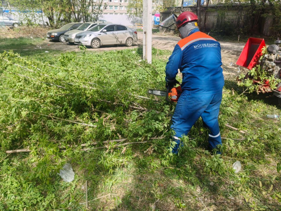 Подмосковные энергетики устранили угрозы для ЛЭП на площади более 2,9 тыс. га