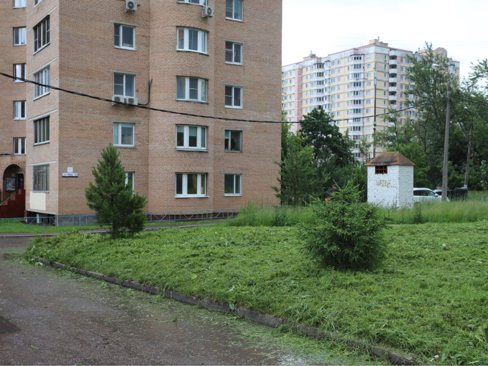 Повторный покос травы проведут на проспекте Мира