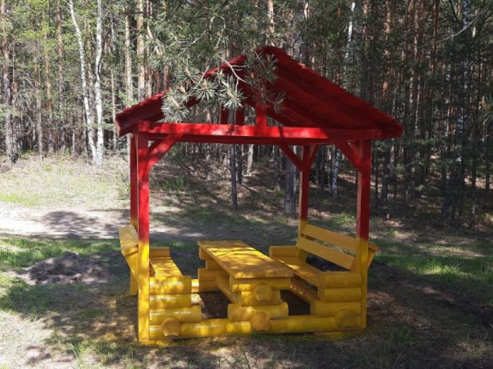 В лесах Егорьевска оборудовали 50 зон отдыха для граждан