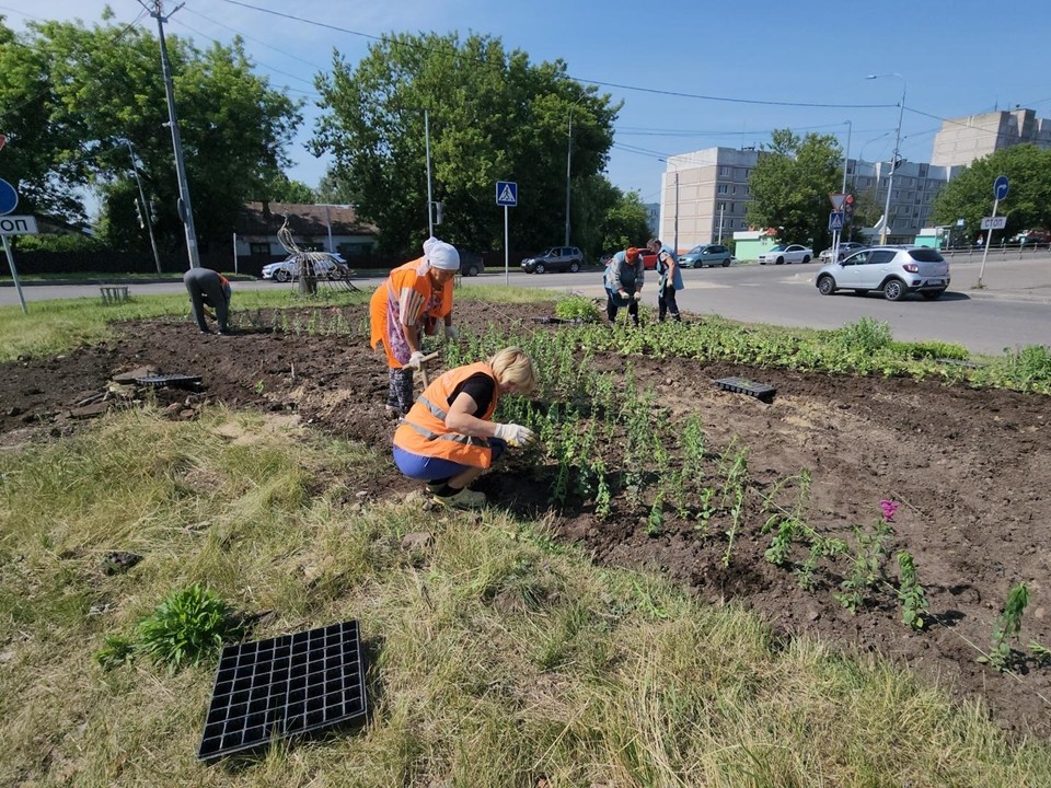 Коммунальщики рисуют лето цветочной палитрой на серпуховских клумбах