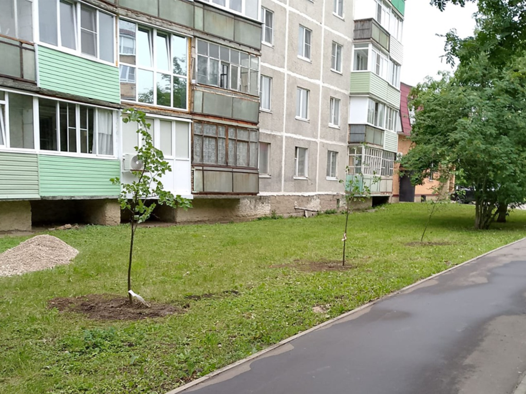 Молодые липы посадили во втором микрорайоне Зарайска