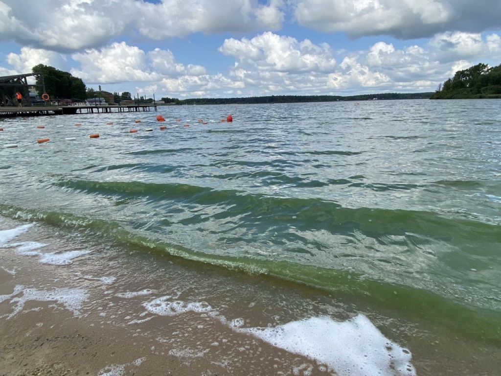 Вода в озере Сенеж окрасилась в зеленый цвет