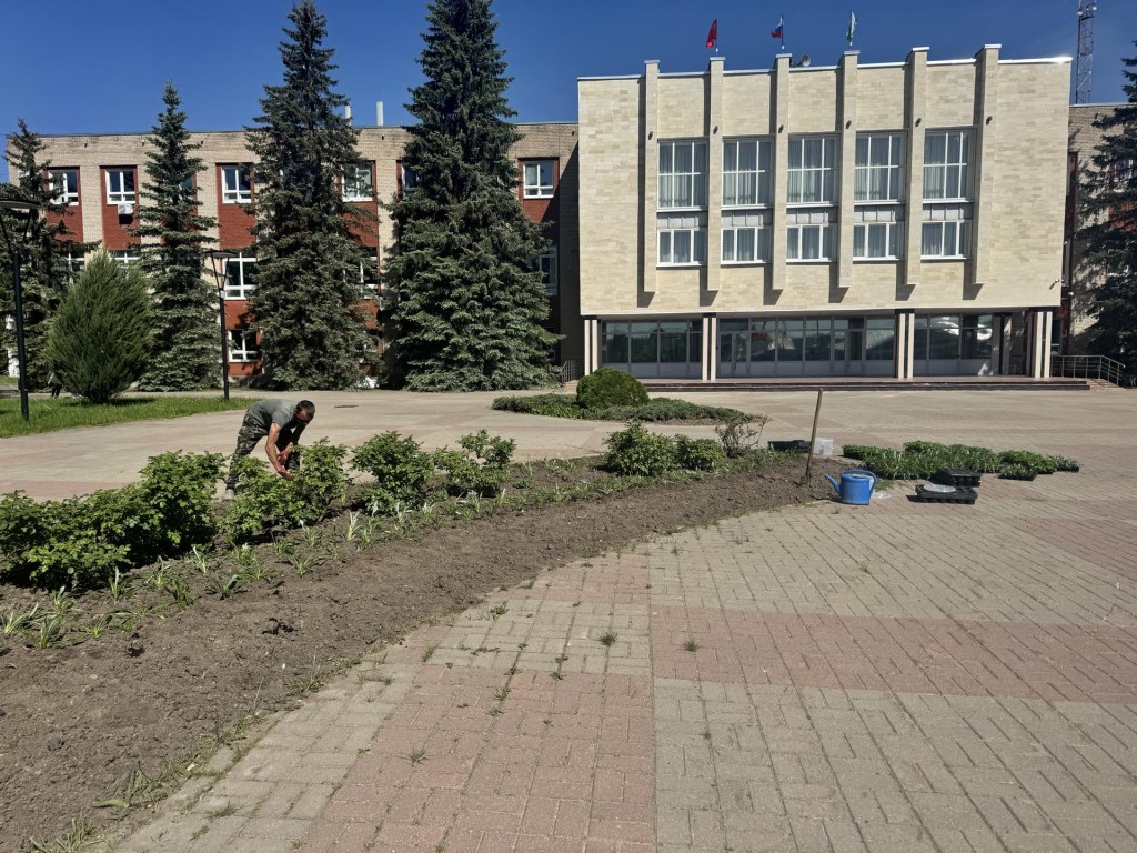 Садовники украсили клумбы у администрации Шаховской и высадили черемуху