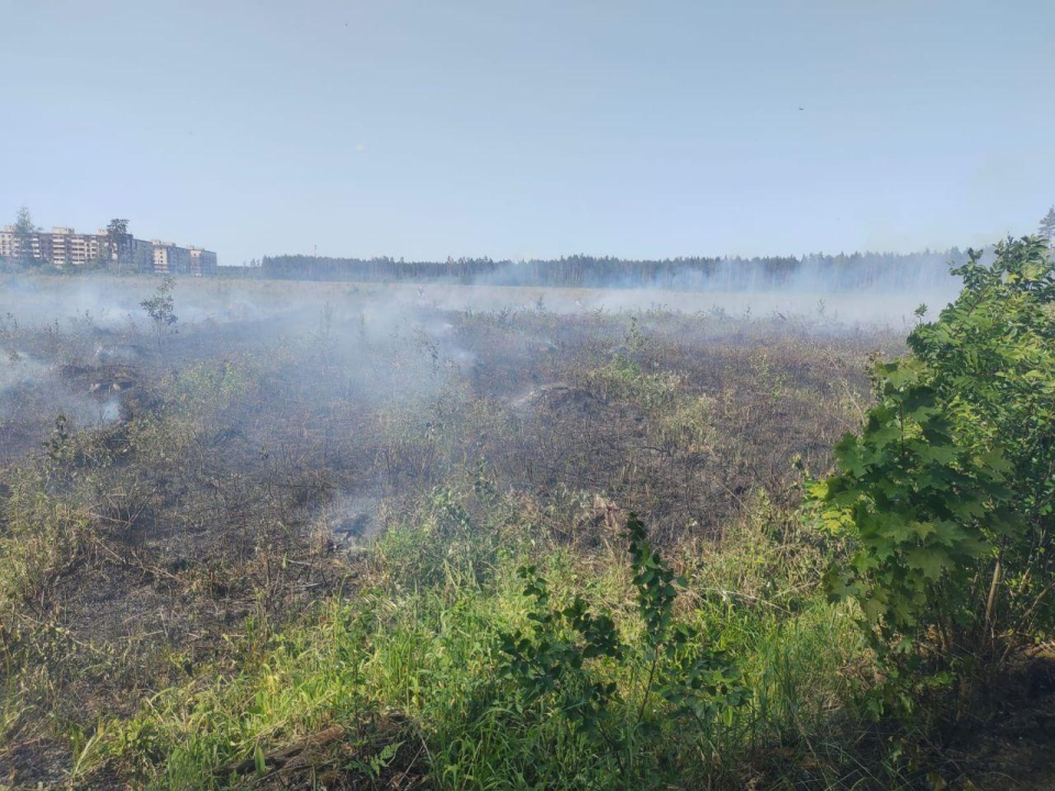 В Подмосковье сохраняется средний уровень пожарной опасности в ближайшие дни