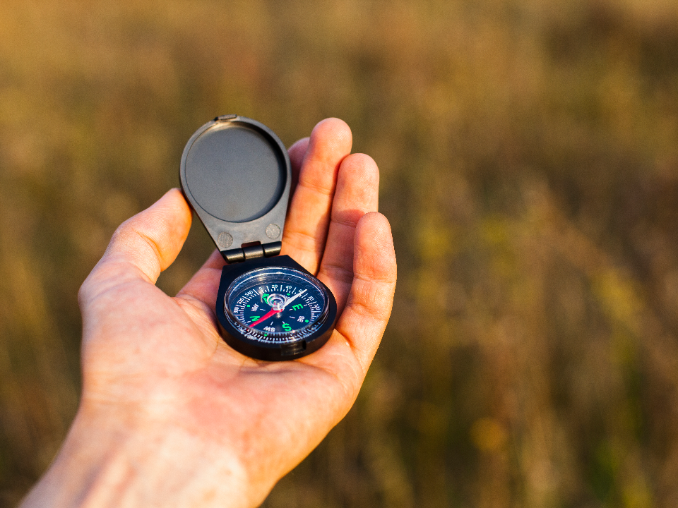 Фрязинцы научатся ориентироваться в лесопарке на велосипедах, используя карты и компас