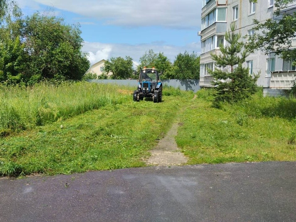В деревне Демихово окосили траву на улице Новой