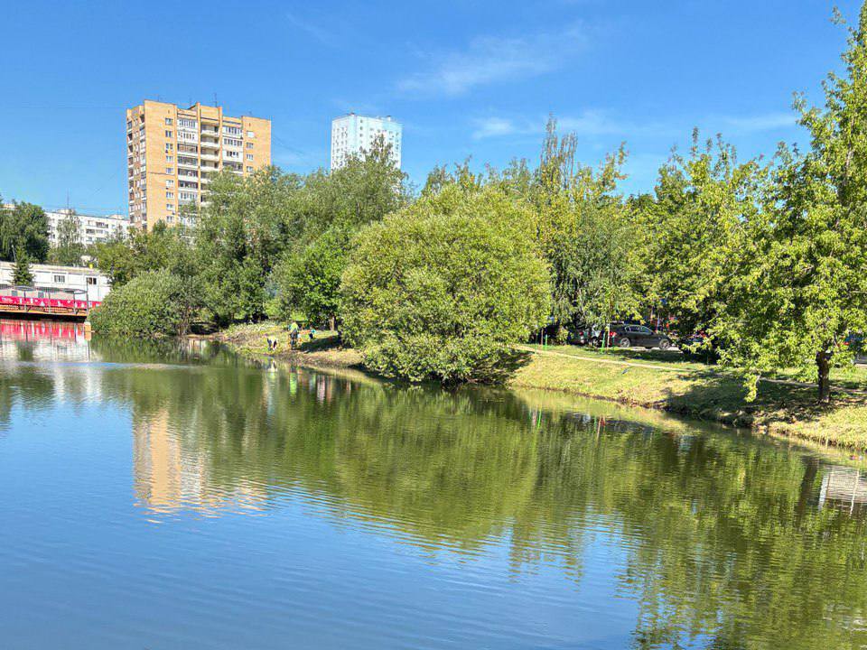 В Одинцове на Комсомольском пруду появились необычные объявления-антистресс