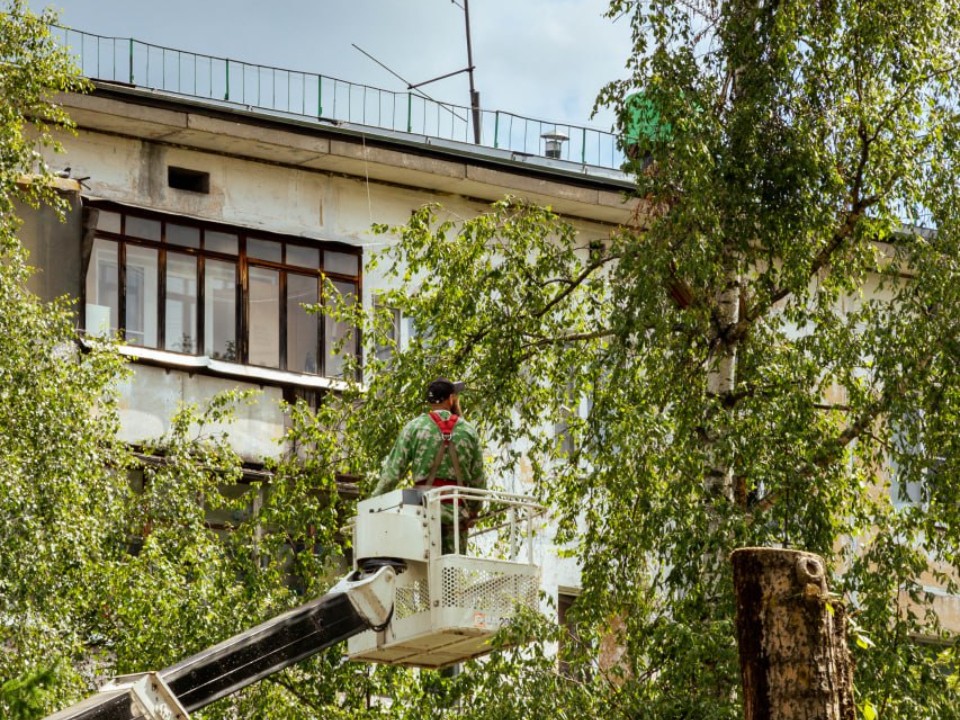 В Лобне стартовало обновление 11 дворов
