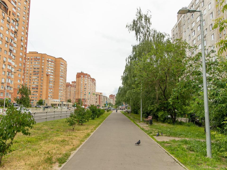 Глубокий циклон с этого дня принесет в Московскую области холод, дожди и грозы