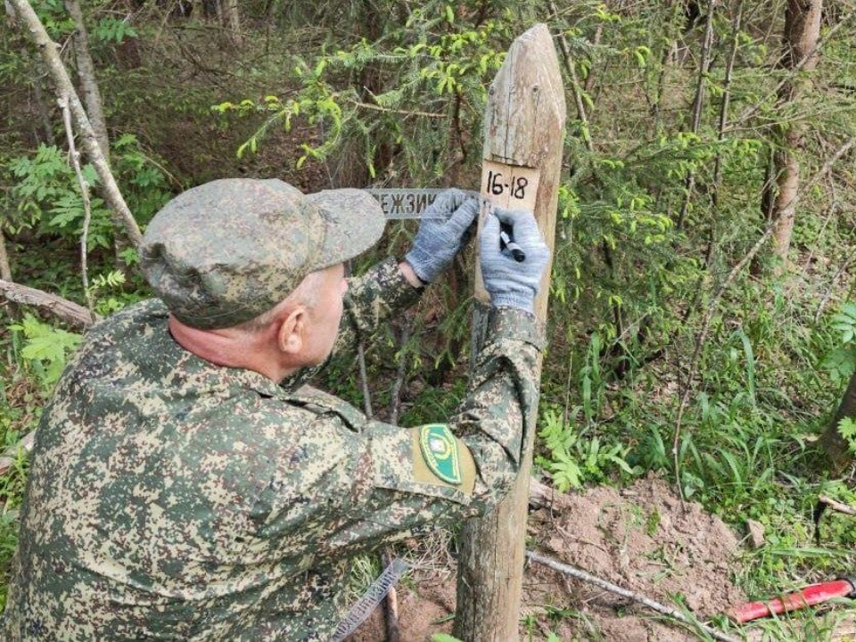 В Подмосковье активно проводятся рубки ухода для формирования здоровых лесов
