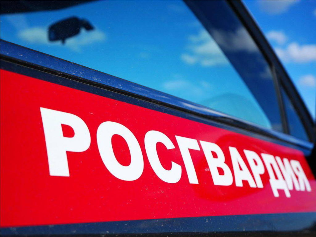 Росгвардейцы в Подмосковье задержали находившегося в федеральном розыске мужчину