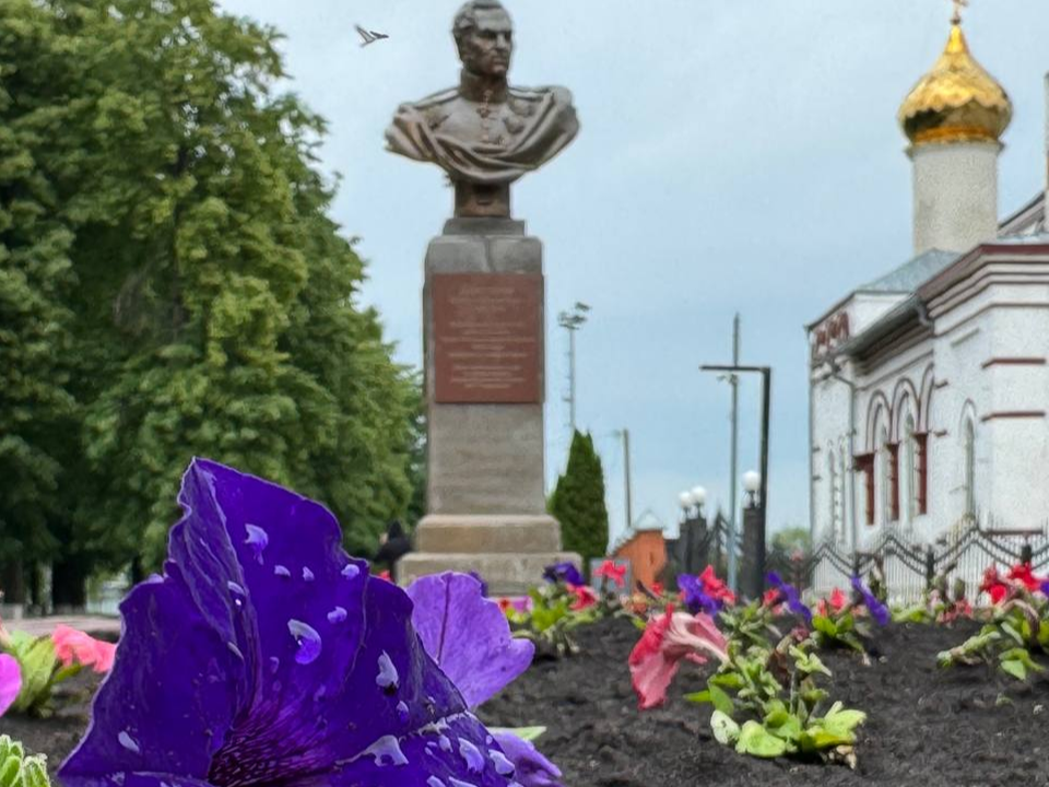 Петунья, сальвия и виола расцвели на улицах Серебряных Прудов
