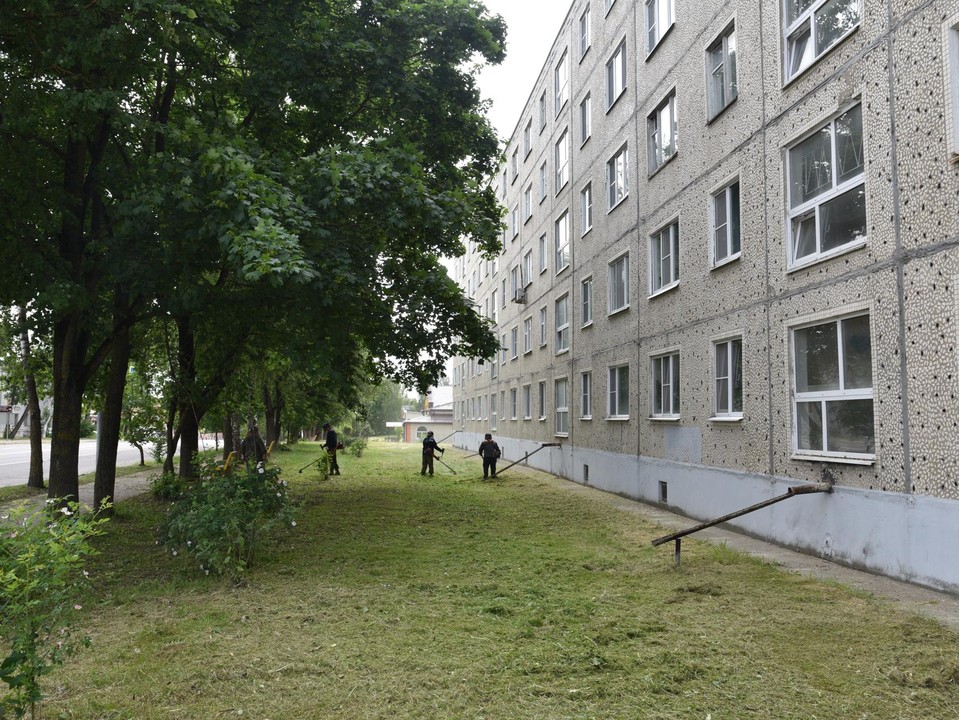 Коммунальщики Лотошина привели в порядок газоны в центре поселка