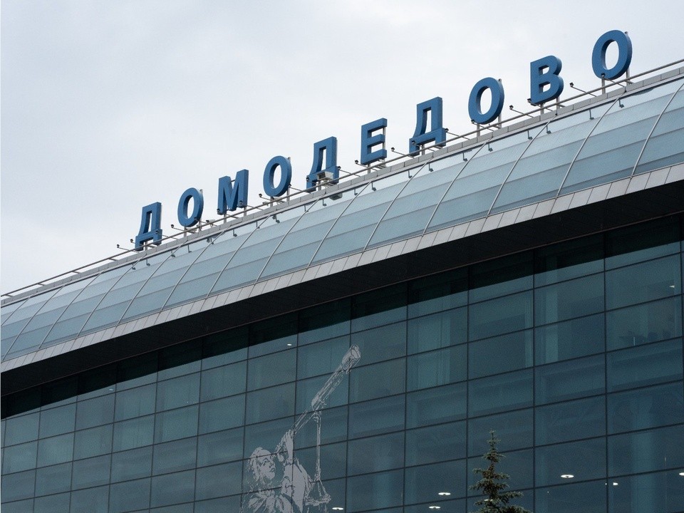 Каменщик оспаривает передачу Домодедово государству: подана апелляция