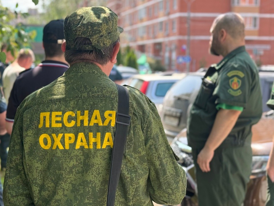 Лесники провели более 100 рейдов в самом большом лесничестве Подмосковья