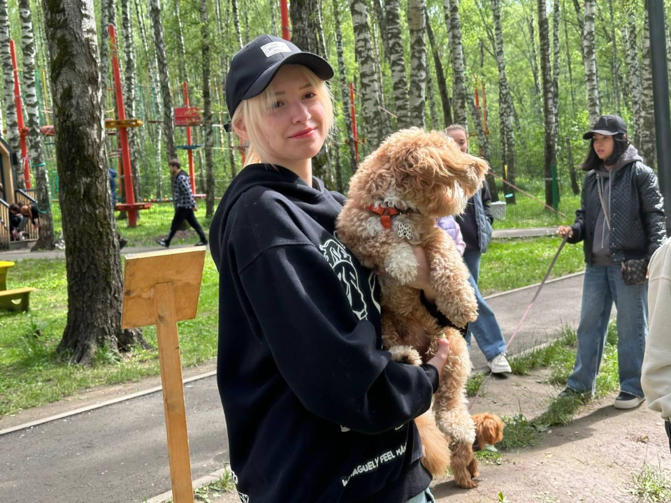 В Домодедове выбрали самого умного питомца на «Песель Фесте»