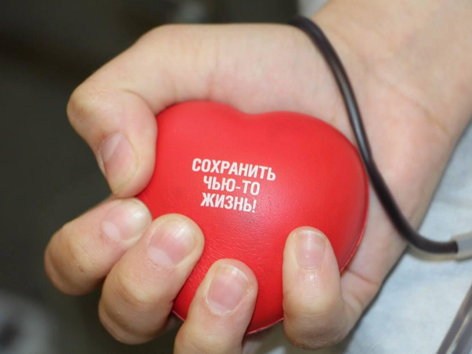 Подмосковные больницы запросили кровь с отрицательным резус-фактором