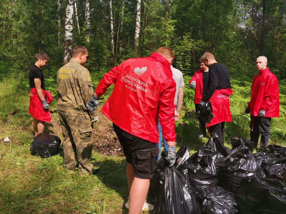 В Егорьевске лесничие и добровольцы убрали мусор