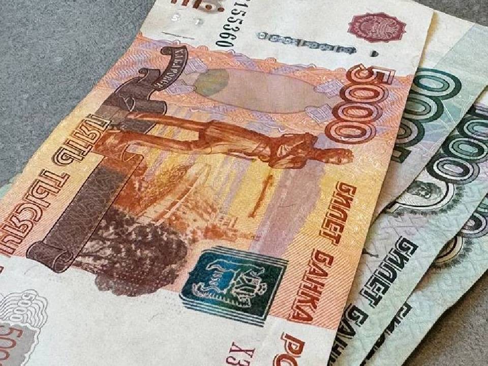 Стала известна сумма задолженности правозащитника Пономарева перед ФНС