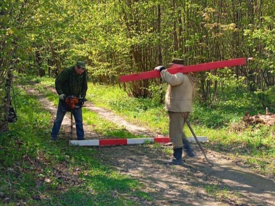 На авто не проехать: в лесах Звенигорода появились временные шлагбаумы