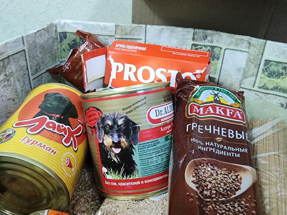 В Коломне собирают посылки для кошек и собак из Курской области