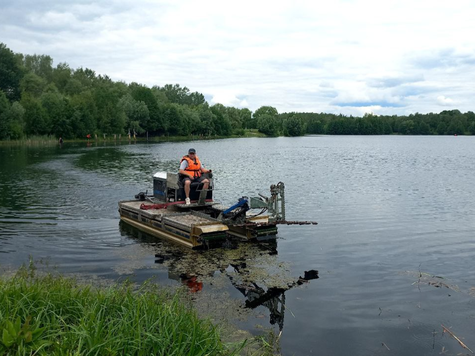 В первый день очистки из Юбилейного водоема в Электростали вытащили бревна и шины