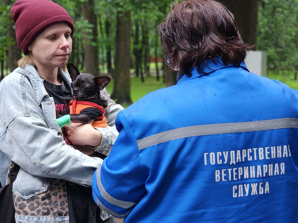 Жители Клина смогут бесплатно сделать прививки питомцам 10 июля в Сестрорецком парке