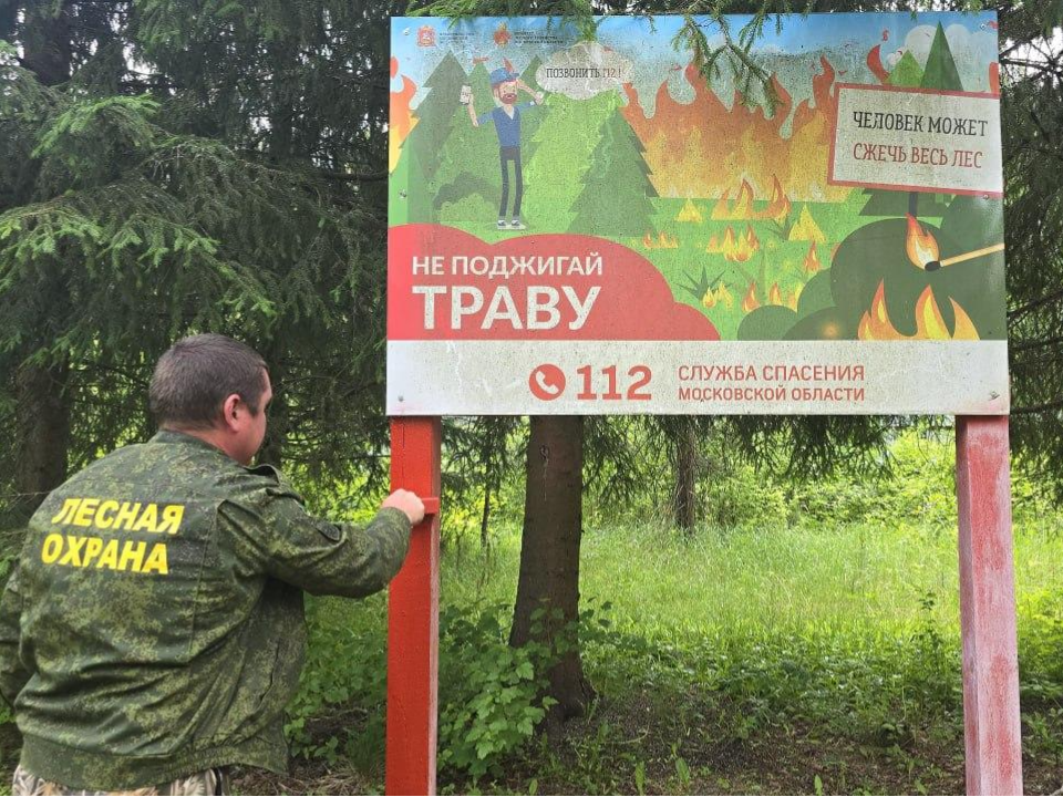 В Орехово-Зуевском лесничестве завершены работы по противопожарной безопасности