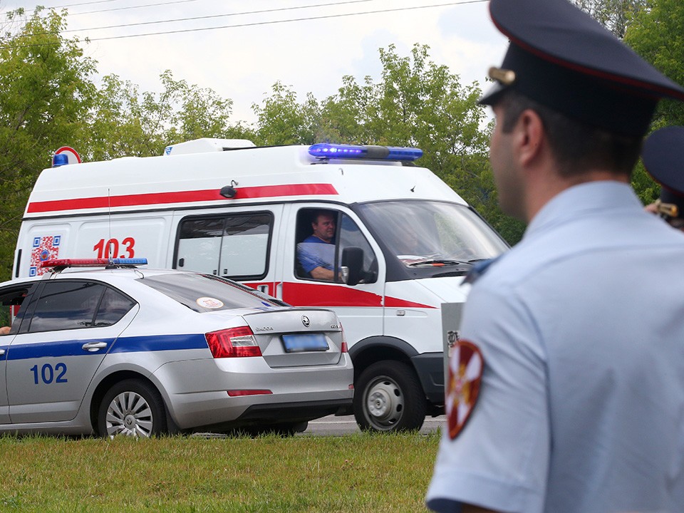 Задушила шнурком от халата: что известно об убийстве 5-летней девочки в Воскресенске