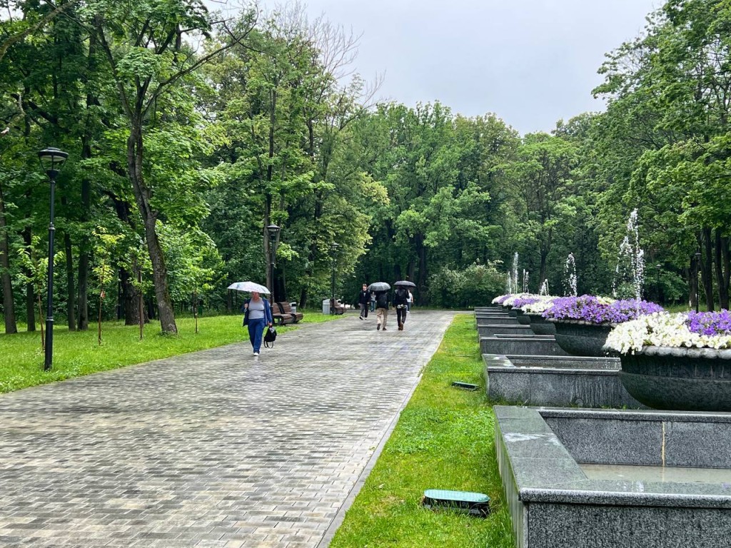 В Подмосковье продержатся холода и ливни до этой даты июня