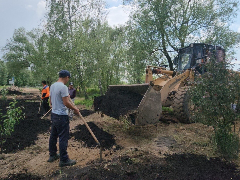 Саженцы яблонь укрепили черноземом при переносе сада в Лобне