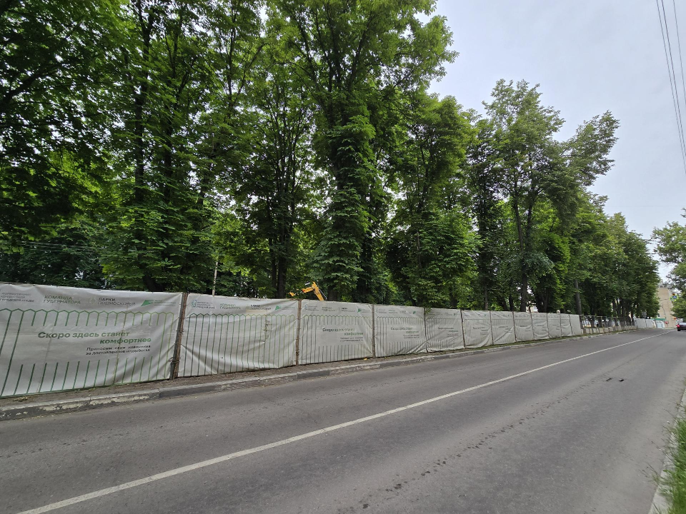 Две сотни деревьев на Каштановой аллее в Коломне сохранят и приумножат