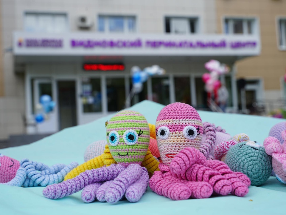 Видновский перинатальный центр отметил 12-летие праздником для детей