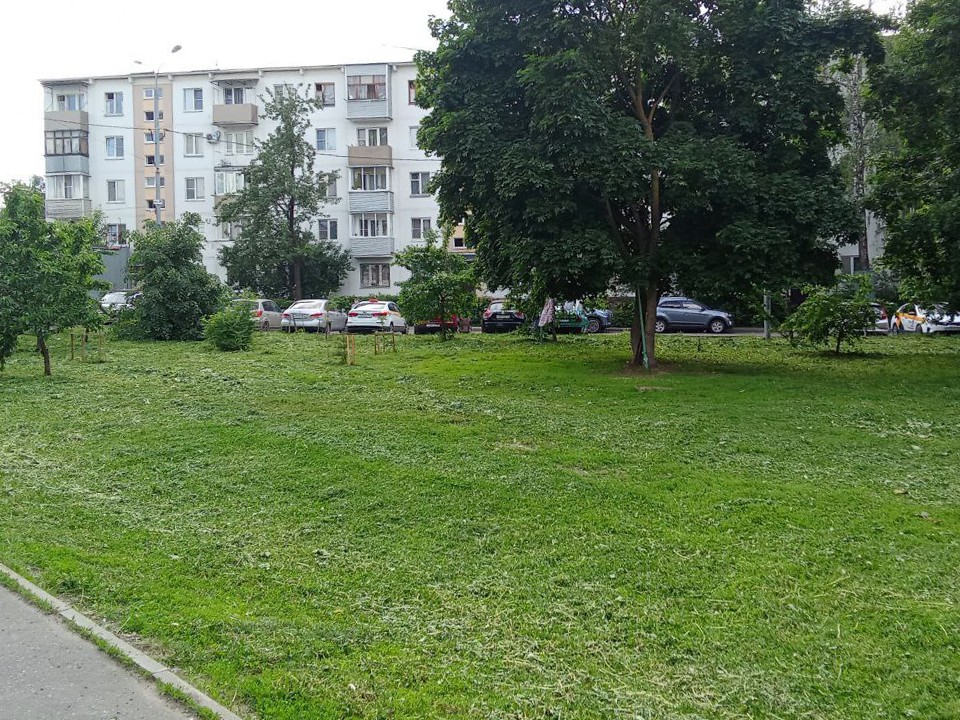Заросли травы скосили на Центральном проезде и Советском проспекте в Ивантеевке