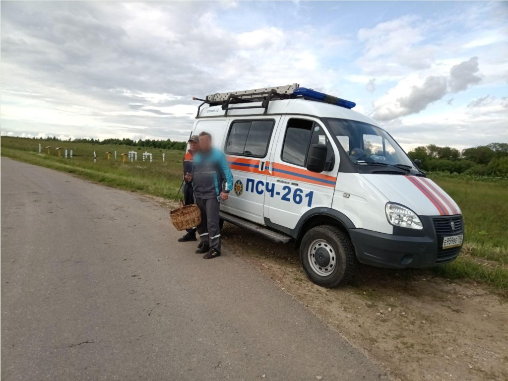Спасатели нашли грибника, заблудившегося в лесу близ Коломны