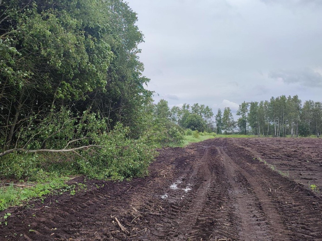 Дорогу в Ледове под Каширой отремонтируют в июле