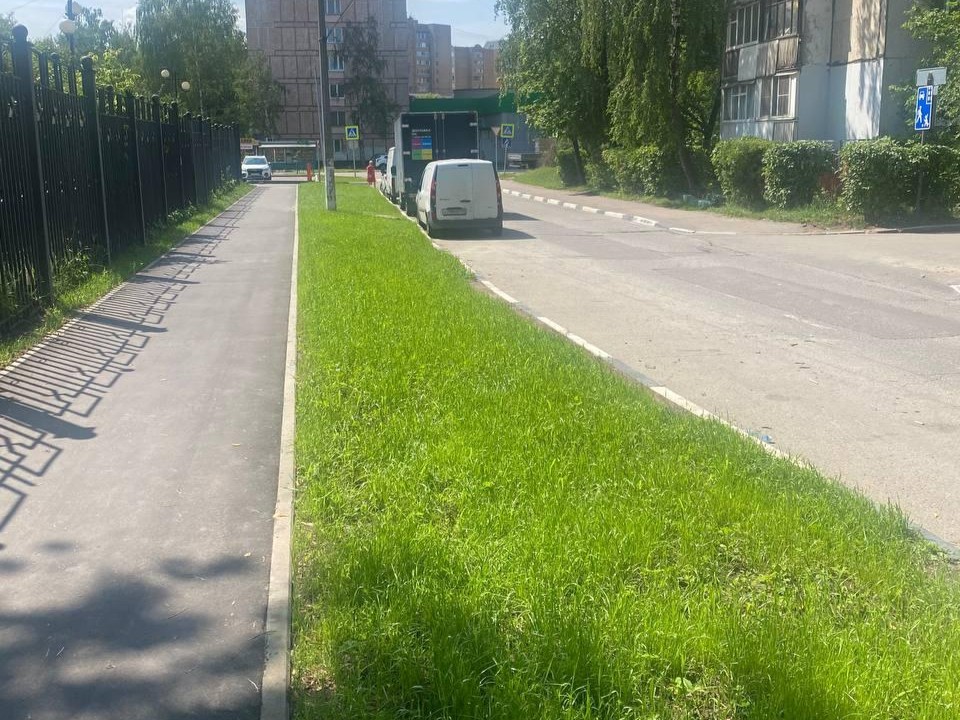 Народные тропы в Балашихе обустроили на 40%