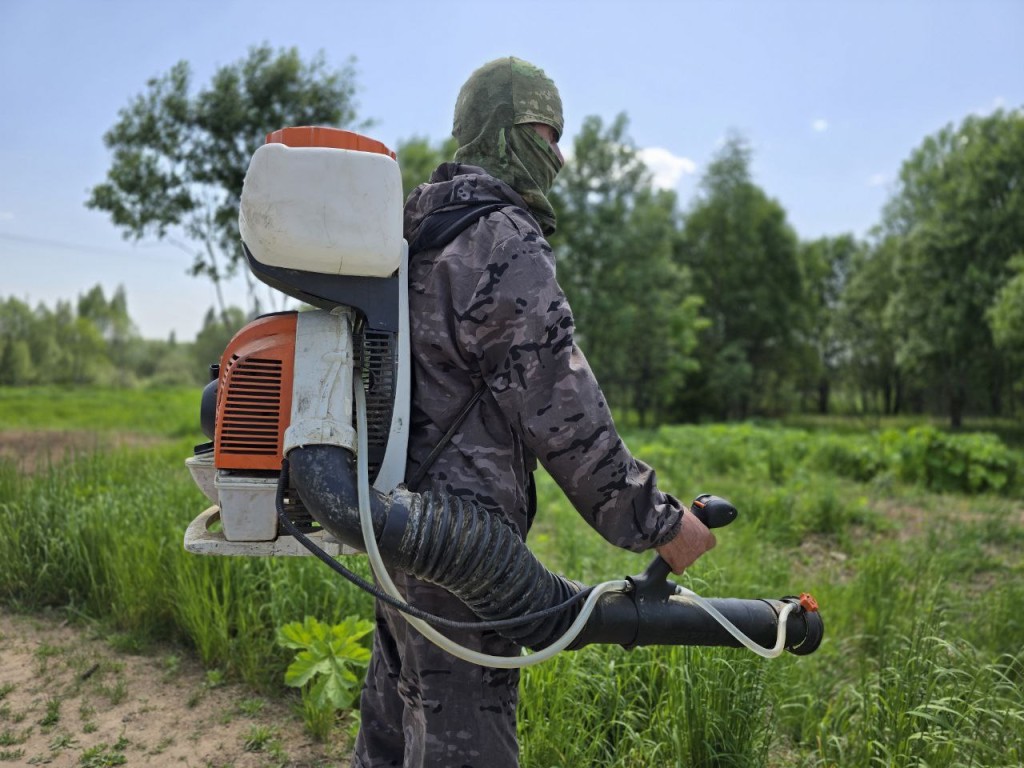В Можайском округе идет химическая обработка территорий от борщевика Сосновского