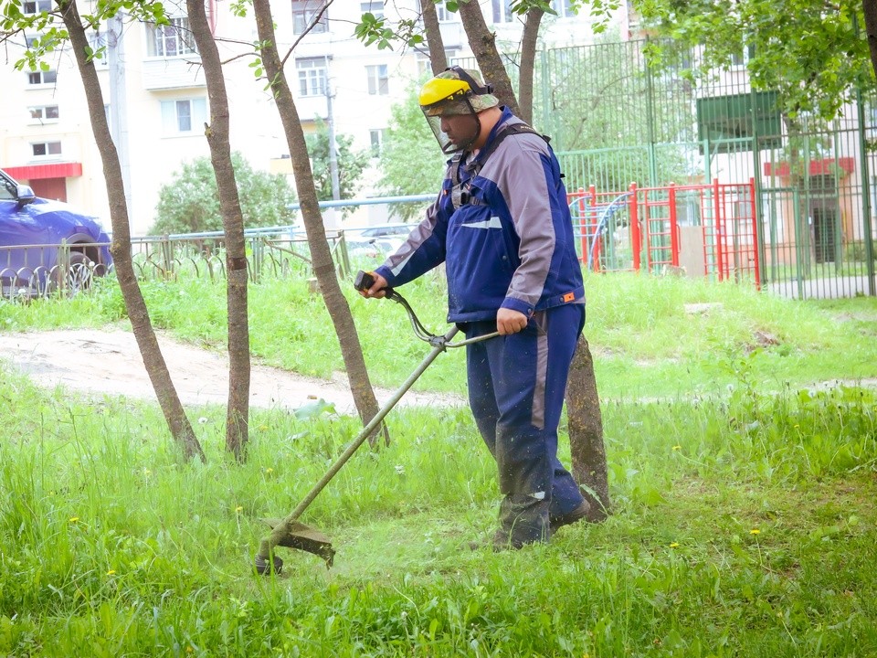 Во дворах Клина коммунальщики начали косить траву