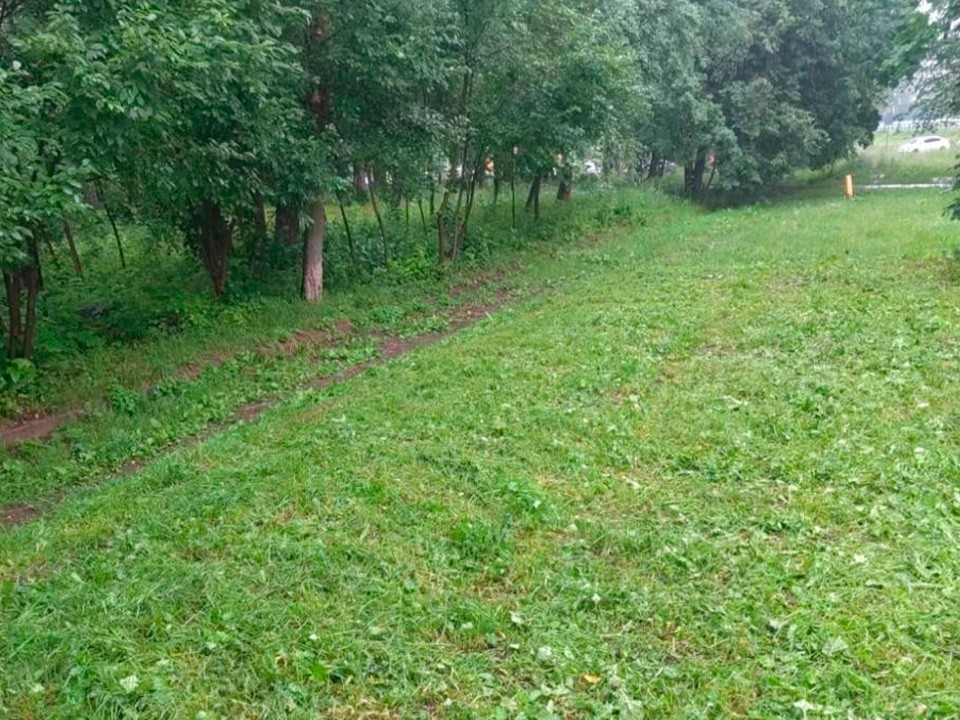 В Рекинцо навели порядок на заросшем участке у жилого дома