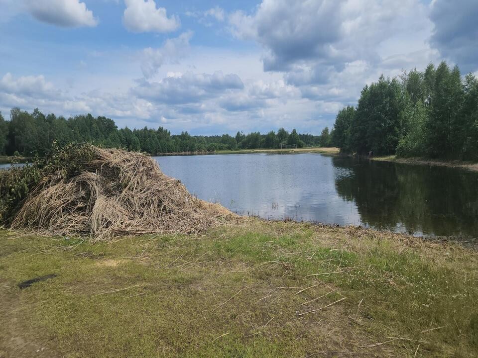 В Орехово-Зуеве очистили от мусора берега карьера «Золотые пески»