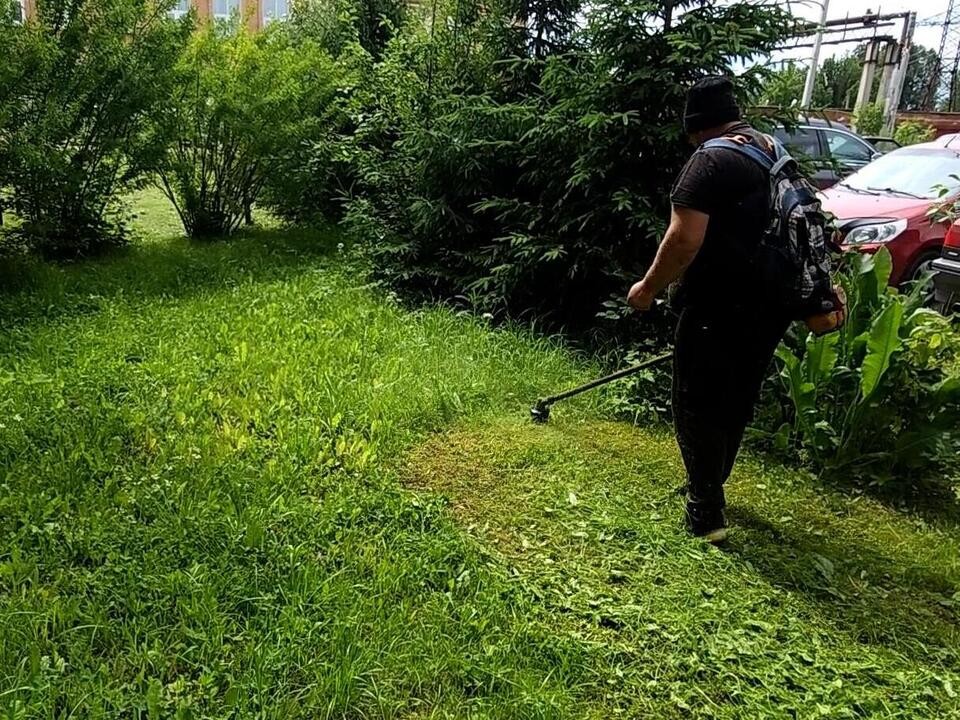 Коммунальщики ежедневно косят траву в городе для красивых видов