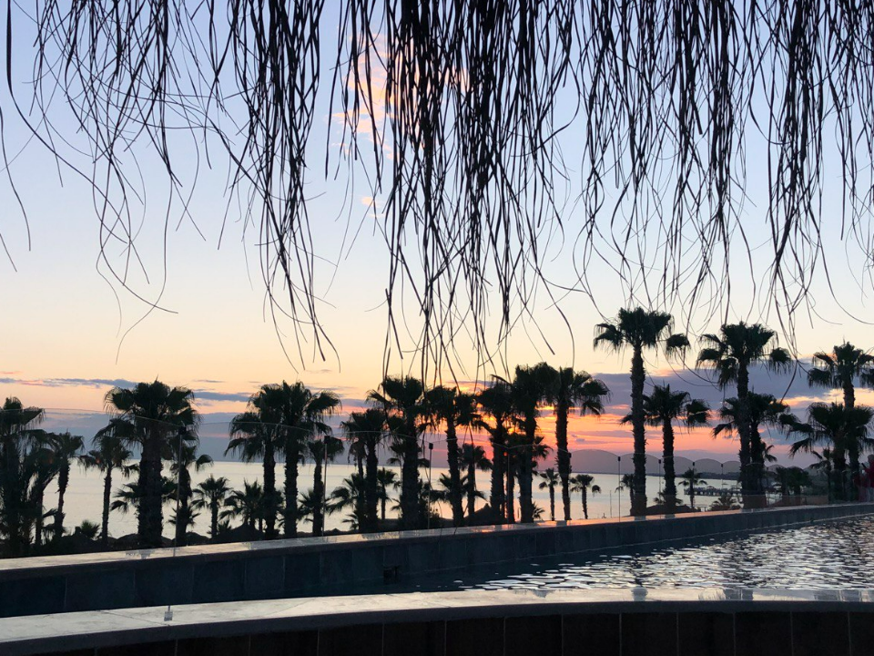 Стало известно, какие направления самые популярные у пассажиров Шереметьево