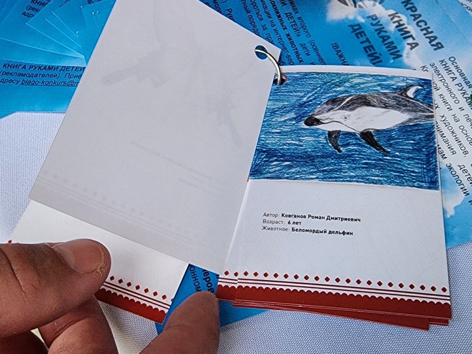 Дети подготовили карманную Красную книгу и стали победителями конкурса в Химках