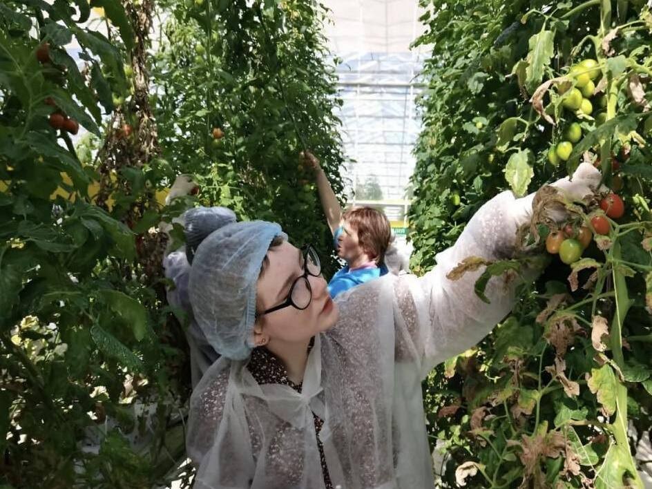 Студентам в Московской области могут компенсировать до 90% расходов на обучение