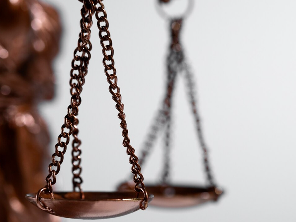 Суд поддержал решение о включении сведений в отношении ООО Фирма «А-БИО» в реестр недобросовестных участников аукциона