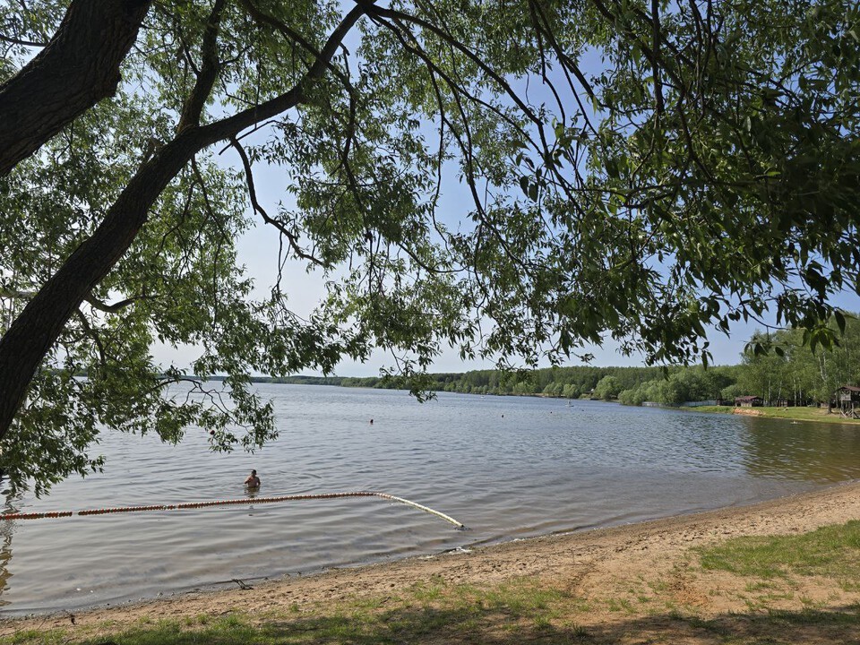 Комфортные температуры и открытие купального сезона ожидаются в Подмосковье